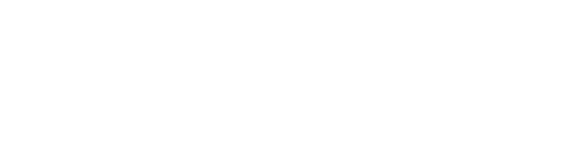 Red Sea International Film Festival